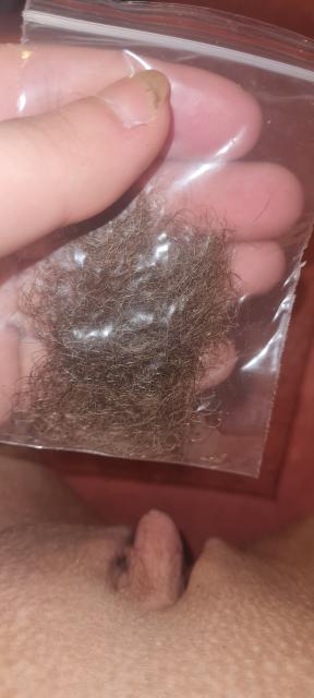 Schamhaare / pussyhaare lockig - Sonstiges - Frankfurt am Main