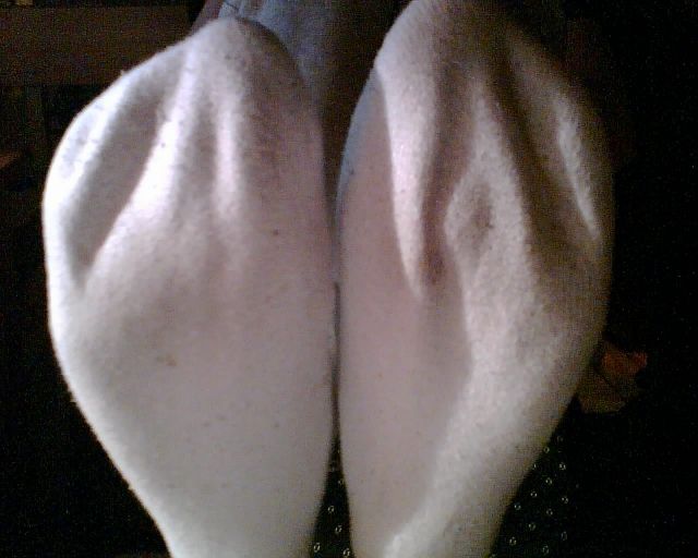 Qualmende Socken warten auf DICH !!! - Getragene Socken - Köln